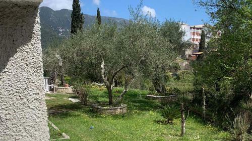 Apartamento Neos Alexandros By Go4sea