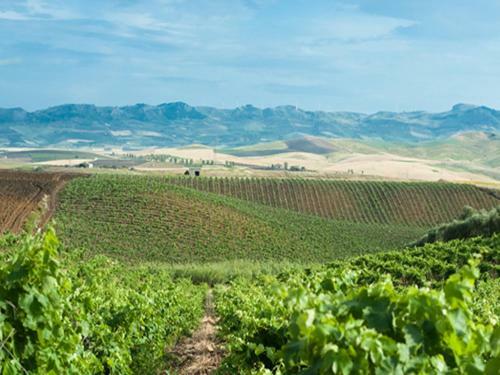 Agroturismo Sirignano Wine Resort