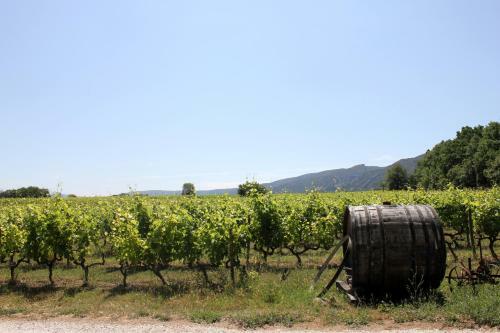 Domaine Faverot