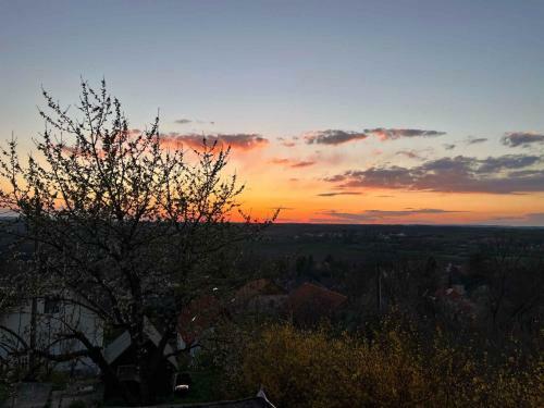 Holiday Home In Tamasi - S�dtransdanubien 42699