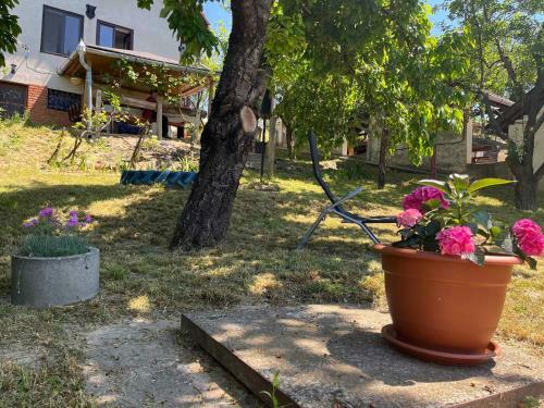 Holiday Home In Tamasi - S�dtransdanubien 42699