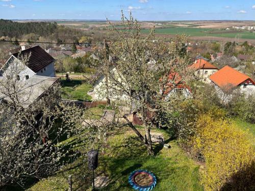 Holiday Home In Tamasi - S�dtransdanubien 42699