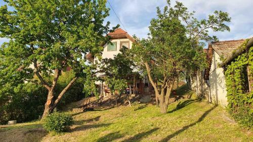 Holiday Home In Tamasi - S�dtransdanubien 42699