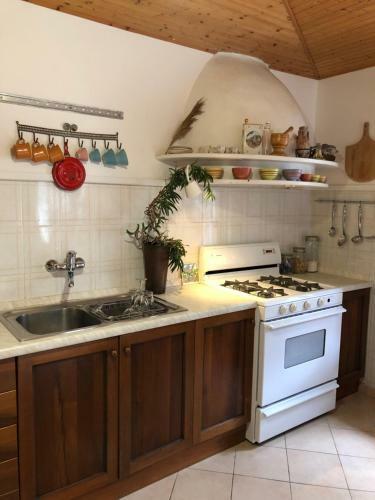 Villa Authentic Vila Nona By Nyc Interior Architect