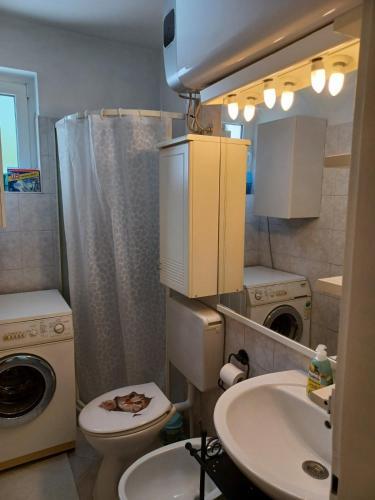 Apartman Ve?ica