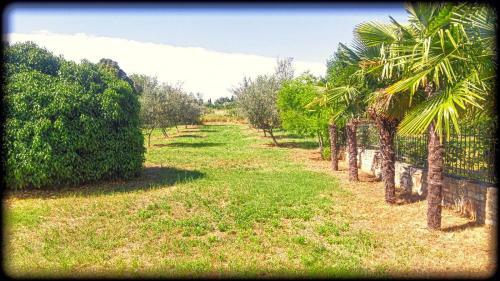 Apartamento Holiday Home Vabriga