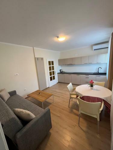 Apartment's & Restorant Vili