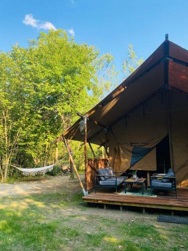 Forrest Glamp