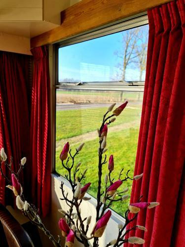 Apartamento Kampeerwagen Boerengroen
