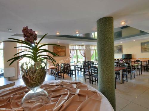 Bed & Breakfast Go?ciniec Ori