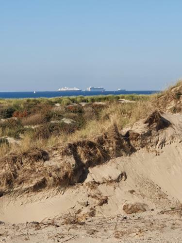Bed & Breakfast Cozy Garden House Kijkduin Beach
