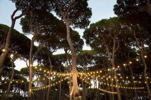 Hotel Il Mulinaccio