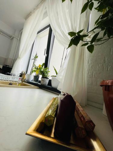 Apartament Mamaia Clasic