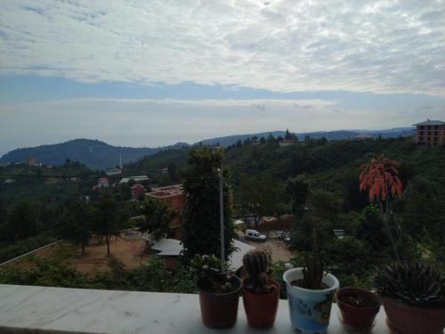 Villa Panoroma (5 Bedrooms 3 Bathrooms)