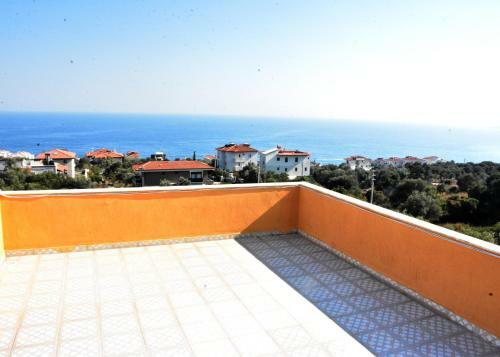 Villa Yellow Butterfly