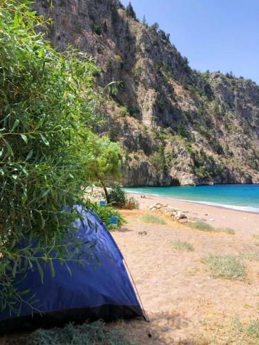 Butterfly Valley Glamping And Food