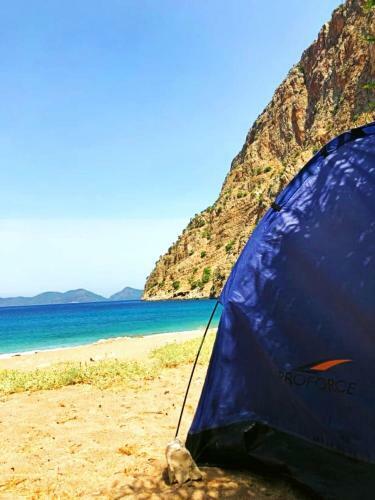 Butterfly Valley Glamping And Food