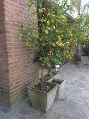 4-bedroom Villa W/ Swimming Pool, 50 Mins From Bue