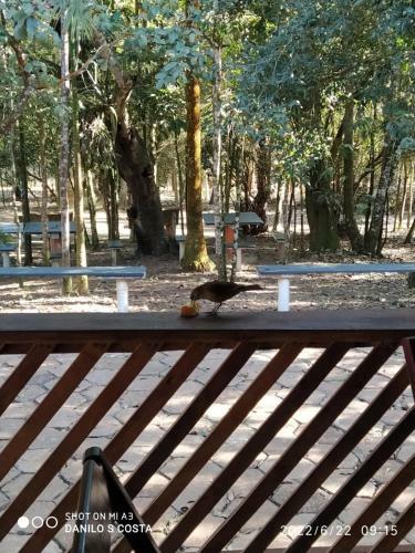 Pousada, Camping E Restaurante Recanto Do Surubim