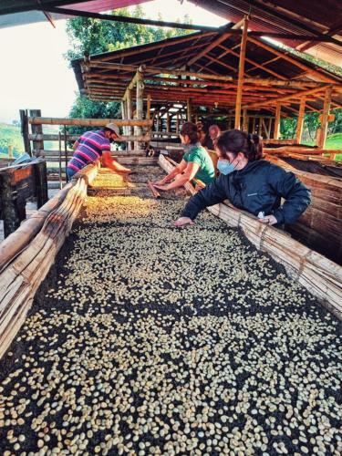 Agroturismo Hacienda La Mesa - Coffee Farm