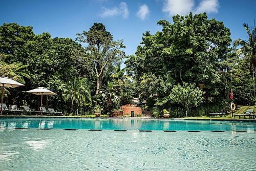 Selborne 4 Bedroom Delight Zpf19