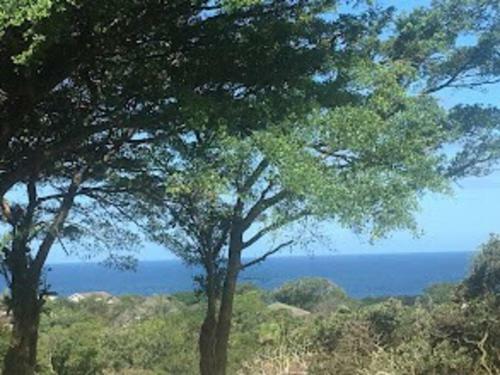 Apartamento Beefwood Guesthouse