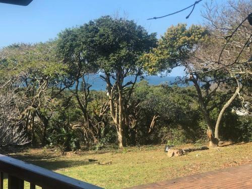 Apartamento Beefwood Guesthouse