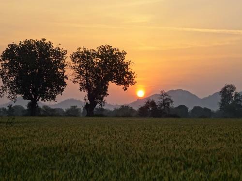 Maji Homestay Khajuraho