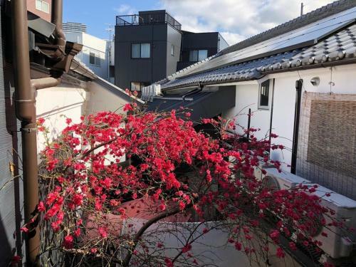 Hostal Fukujyuhouse - Vacation Stay 13169