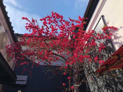 Hostal Fukujyuhouse - Vacation Stay 13167