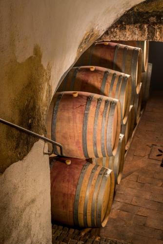 Agroturismo Castello Di Bolgheri
