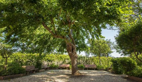 Agroturismo Casale Etrusco