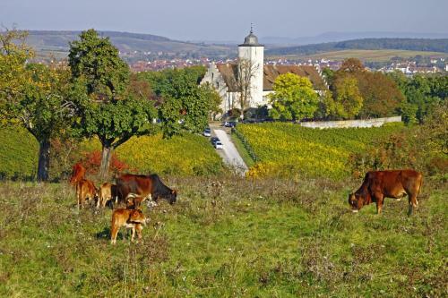 Flair-hotel Zum Benediktiner