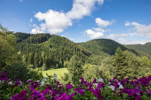 Hotel Gasthof Gasserhof