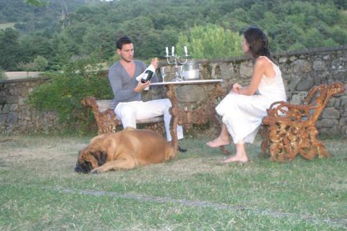 Bed & Breakfast Chateau Du Besset