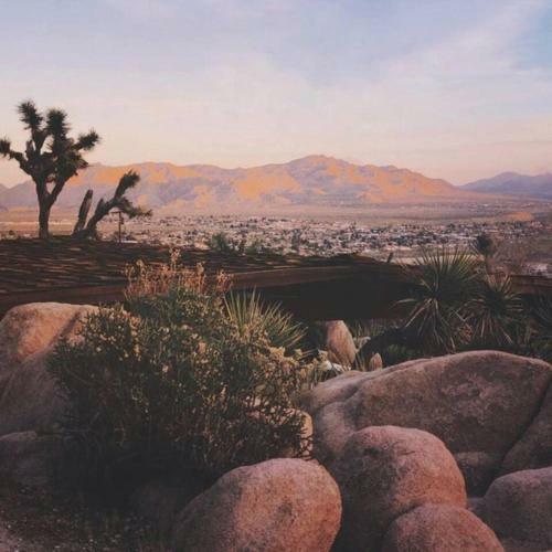 Entire Home Yucca Valley Joshua Tree Retreat
