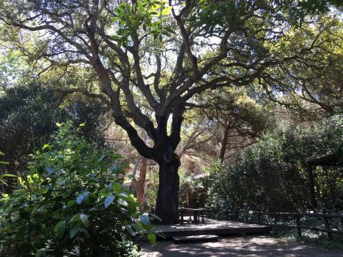 Aparthotel Camping Village Rocchette
