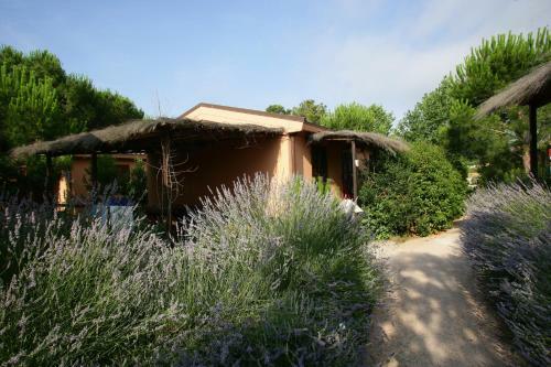 Aparthotel Camping Village Rocchette