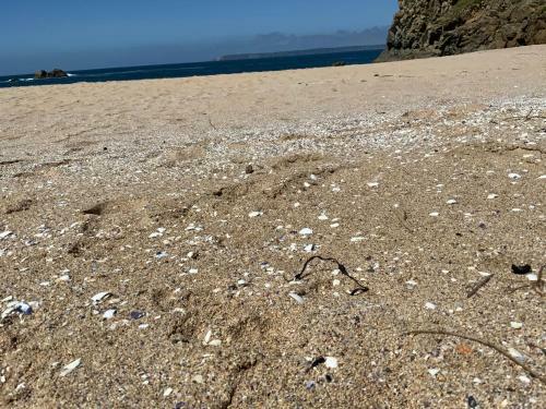 Magnifique Villa Face � La Plage De Pors Piron