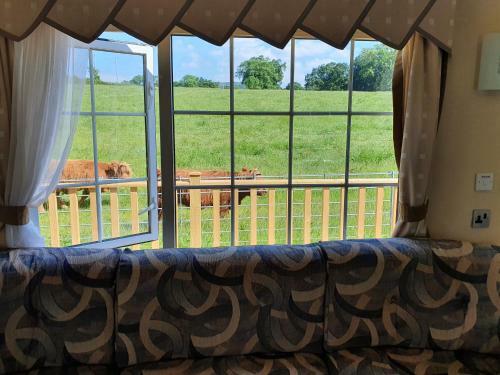 Gaerhyfryd Static Caravan