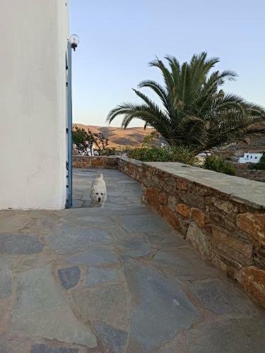 Villa Mariza