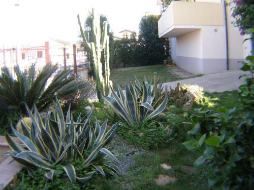B&B Domus Tiberio