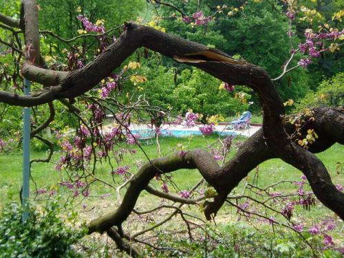Bed & Breakfast Ch�teau De Monteux