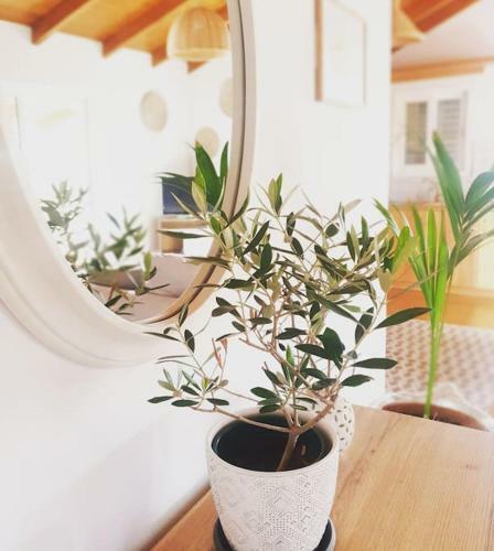 Apartamento Proti House