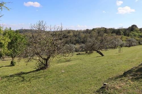 Casa Il Mandorlo Nel Chianti