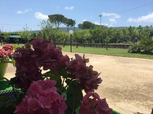 Bed & Breakfast La Casa Di Nonna Anna