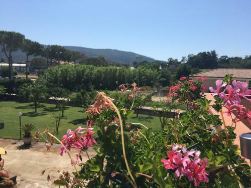 Bed & Breakfast La Casa Di Nonna Anna