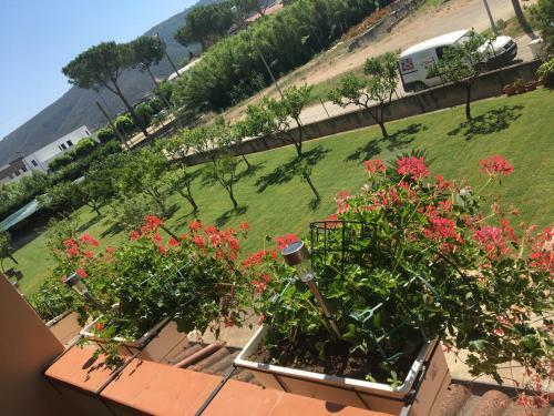 Bed & Breakfast La Casa Di Nonna Anna