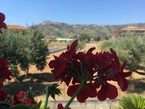 Bed & Breakfast La Casa Di Nonna Anna