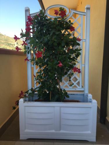Bed & Breakfast La Casa Di Nonna Anna